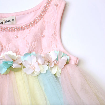 Pink Floral Applique Ombre Tulle Dress
