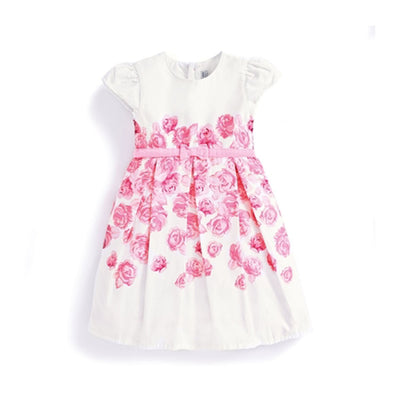 Girls Pink Rose Party Dress