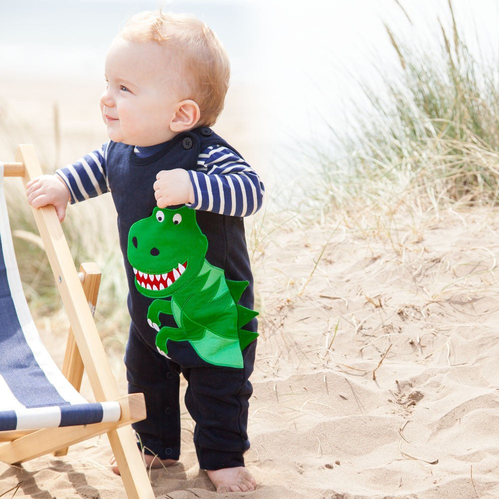 Navy Dinosaur Dungaree Overalls