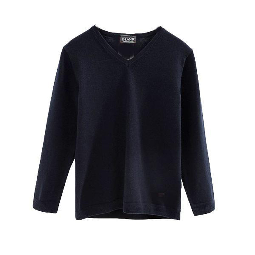 Navy V-Neck Sweater
