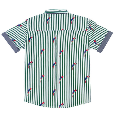 Boys Parrot Striped Collared Shirt