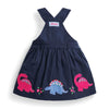 Navy Dinosaur Jumper Dress